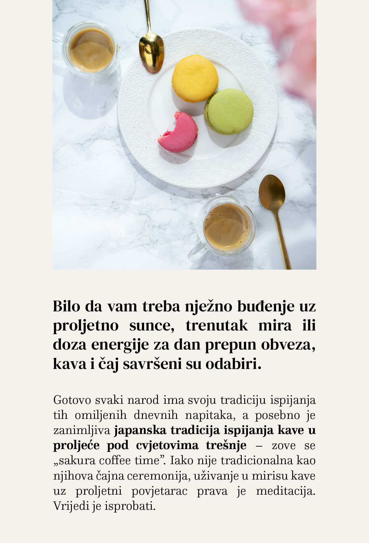 Sakura coffee time — japanska tradicija ispijanja kave u proljeće